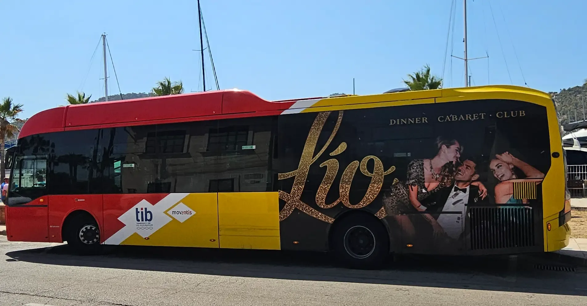 Autobus